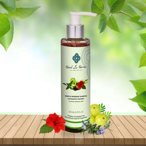 Teal & Terra Hibiscus Rosemerry Hair Regrowth Shampoo 200ml